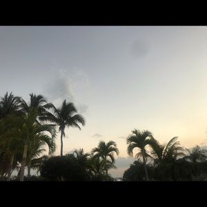 Meet your Posher, Alix